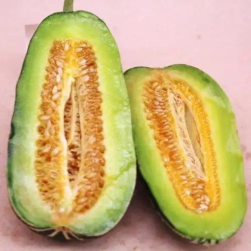 山东甜瓜博洋9号花皮羊角蜜芝麻蜜甜 纯甜瓜生鲜 3斤