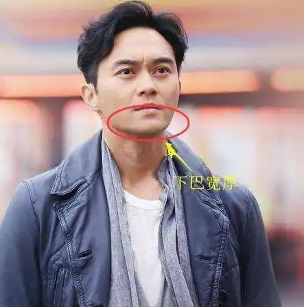 严格意义上来说地阁方圆,指的也就是下巴丰隆,有这种面相特征的男生