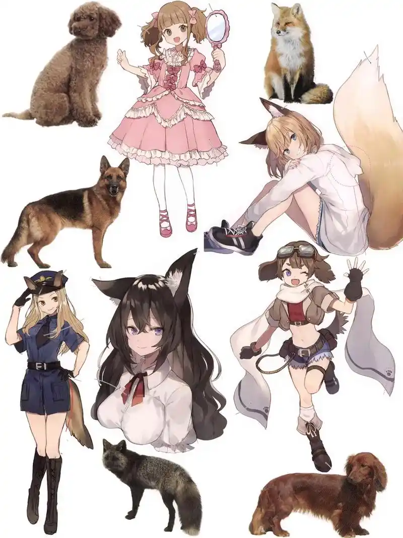 这套动物拟人教程怎么没早点发现,宝藏素材.