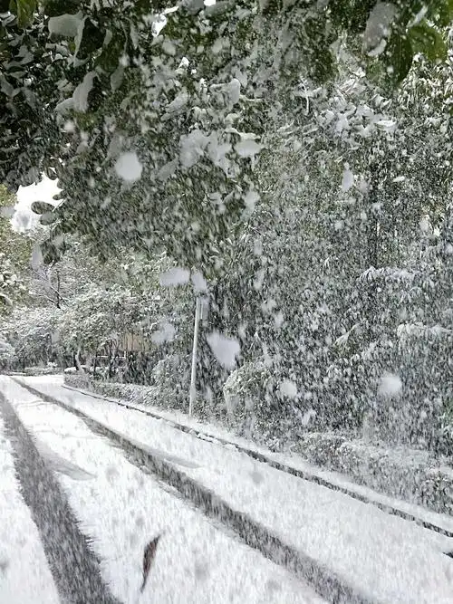 鹅毛大雪仍在纷纷扬扬的飘落,华昱物业必将继续奋斗在除冰铲雪的工作