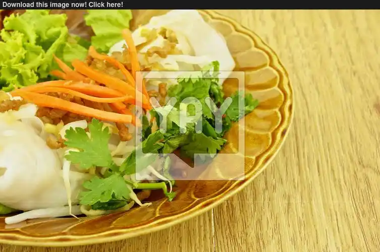 close up wide rice noodle roll