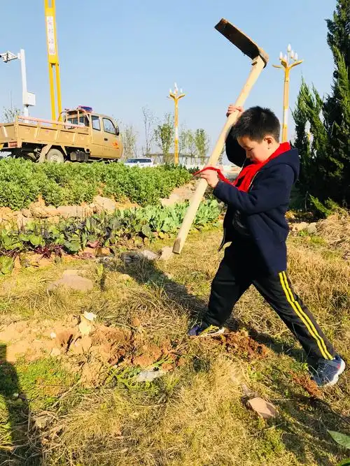 原来锄头蛮重,汗滴禾下土!