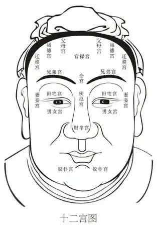 面相普及之:面相十二宫……笔者思考了一下,从明天开始给大家讲 - 抖