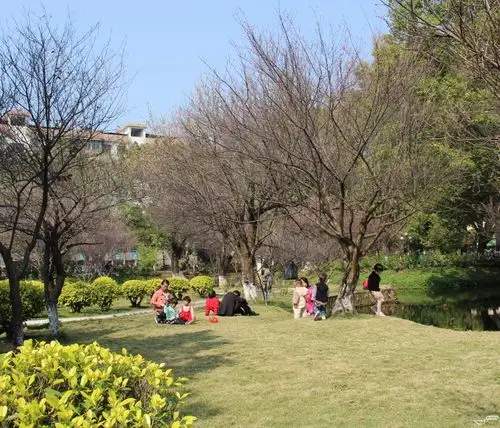 周末,草坪上晒太阳挺好的