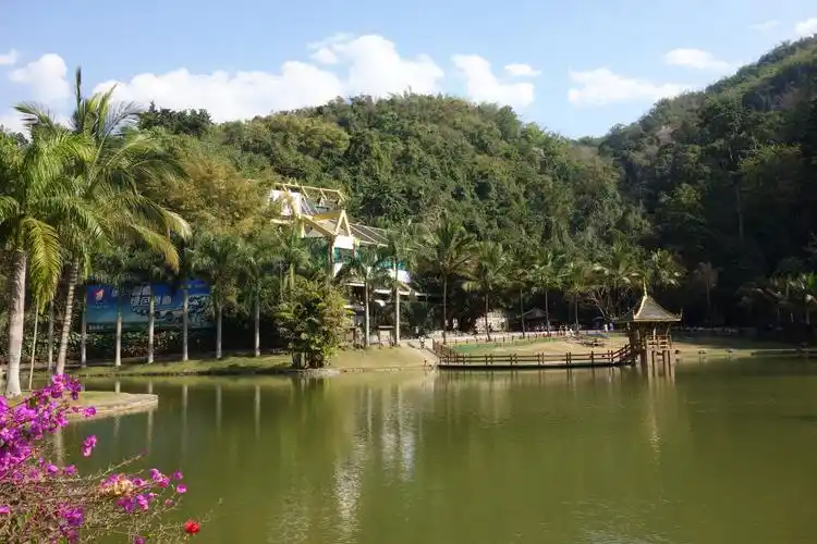 七彩云南-西双版纳图片234,云南省旅游景点,风景名胜 - 蚂蜂窝图库