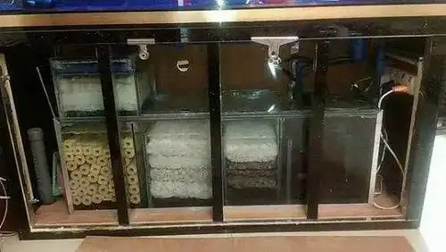 最后说说:水质需要稳定,平衡,滤材也需要稳定,而滤材波动太大会影响