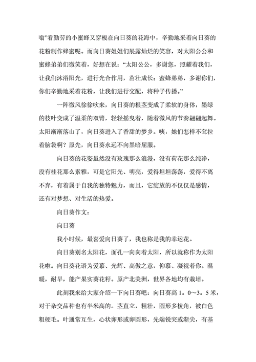 向日葵作文(20篇).doc