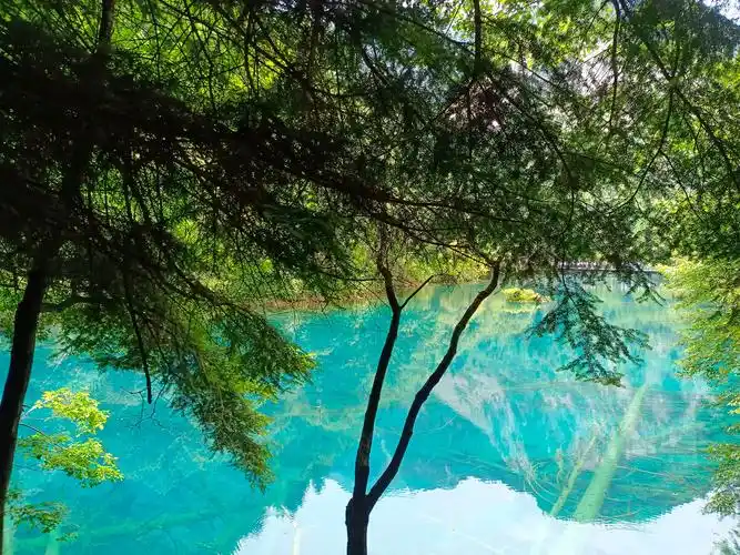 九寨归来不看水是对九寨沟景色真实的诠释