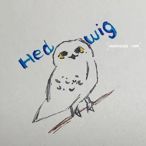 画一只海德薇和伏伏压压惊[doge]好喜欢这样的风格,圆珠笔瞎勾线成品