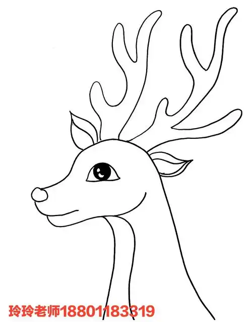 准备一张素描纸 用记号笔在纸上画出鹿的外形