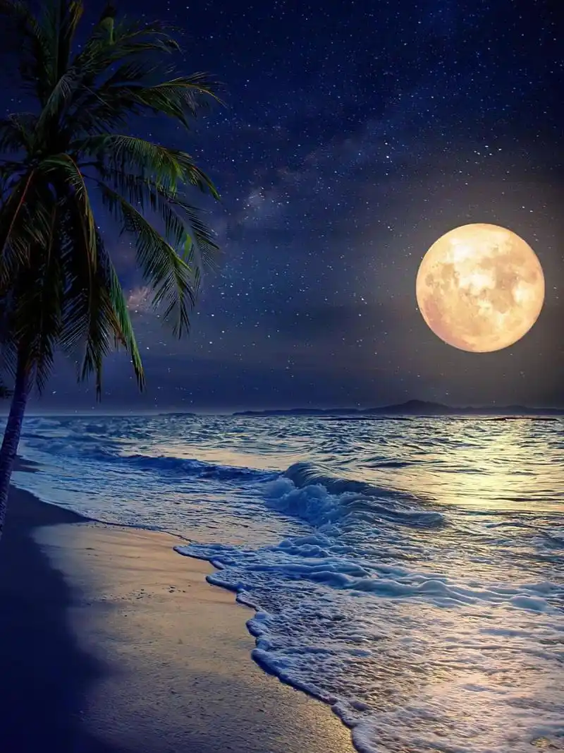 听说今年中秋"十五的月亮十五圆"期待!