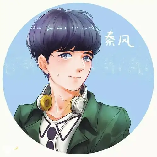 立刻西皮 情头 秦风