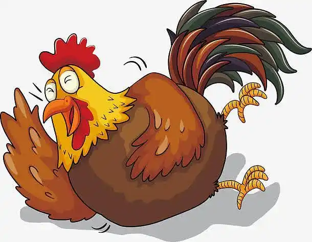 捧腹大笑的公鸡
