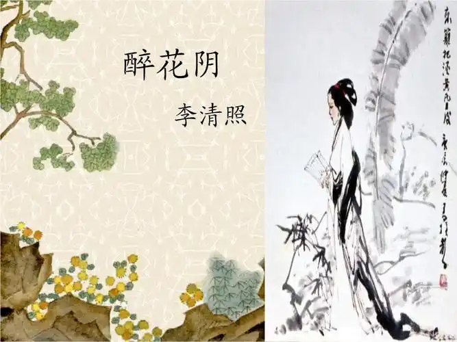醉花阴(优秀课件).ppt 22页