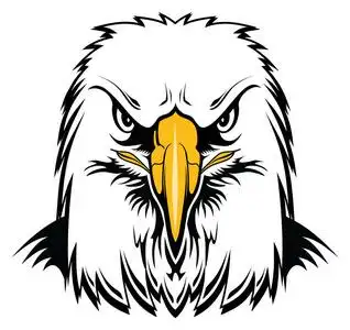秃鹰头是鹰头的图形样式的插图.完美的老鹰吉祥物照片