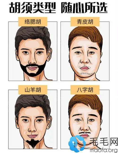 【涨姿势】种植胡子需要多少毛囊单位,价格一般要多少钱?