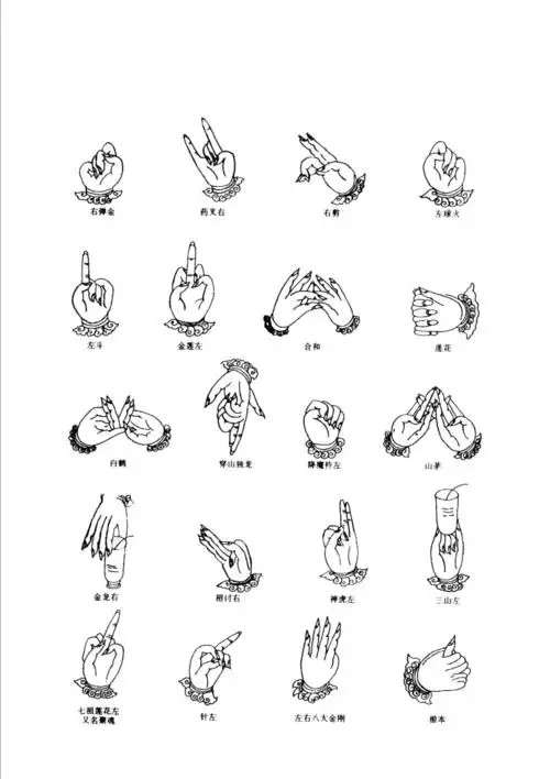 江西龙虎山秘传手诀pdf