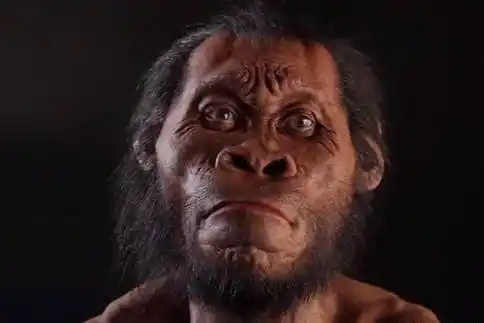 现代人类并非自然进化而来,而是从智人就被干预了进化过程?