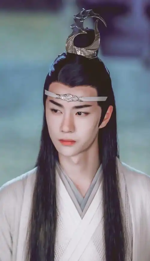 陈情令有钱哥哥蓝二公子蓝忘机蓝湛王一博