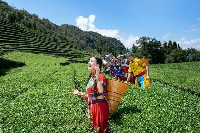 湖北土家族美女唱新歌茶山小幺妹听歌如品茗让人上瘾