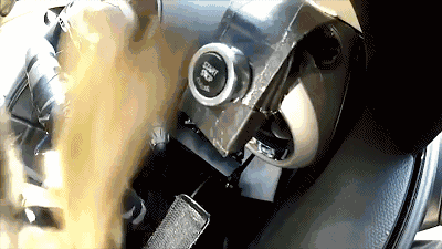 狗狗练习换挡 呢?