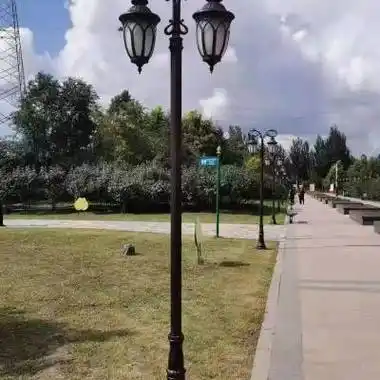 道路照明灯>河池罗城太阳能路灯杆分体庭院灯户外3米景观灯支持定制>