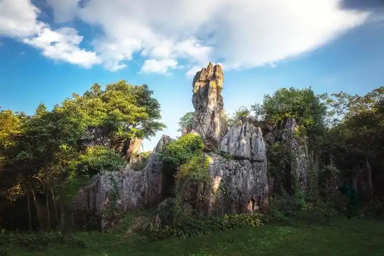 华蓥山旅游区同时,在佛手山景区还开展了"感恩·祈