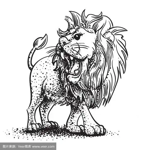 狮子,非洲,黑白图片,绘画插图,野生猫科动物
