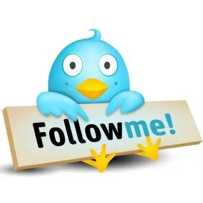 关注(follow)机制