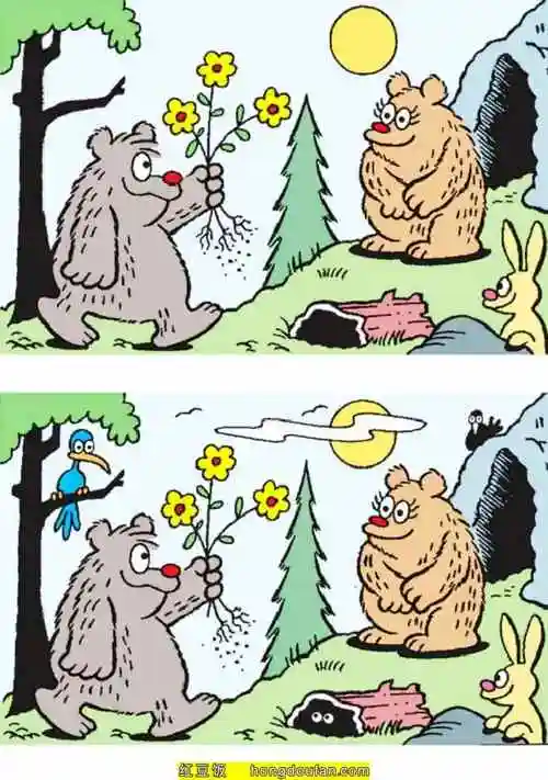 10张彩色的有趣的找不同益智游戏动物图片免费下载-红豆饭小学生简笔