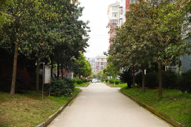 干净卫生的小区环境