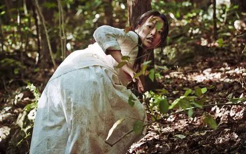 今年夏天的好莱坞充斥著旧瓶装旧酒的无趣作品,《哭声》这部韩国电