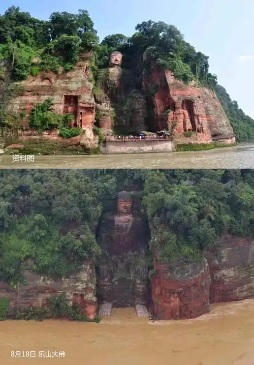 乐山大佛被洪水淹至脚趾,当地紧急救援上千名群众!