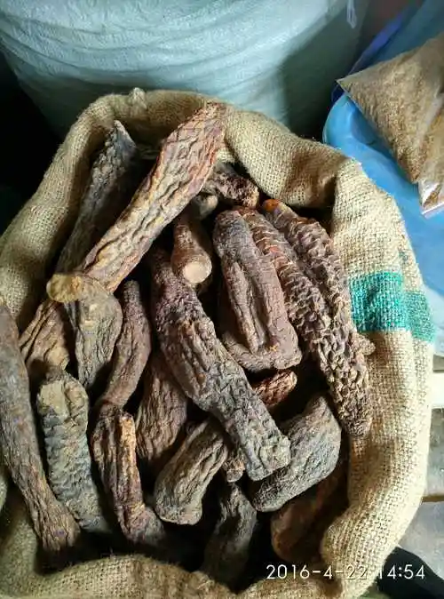 肉苁蓉个肉从蓉阿拉善大芸大云新疆大芸中药材500g克包邮