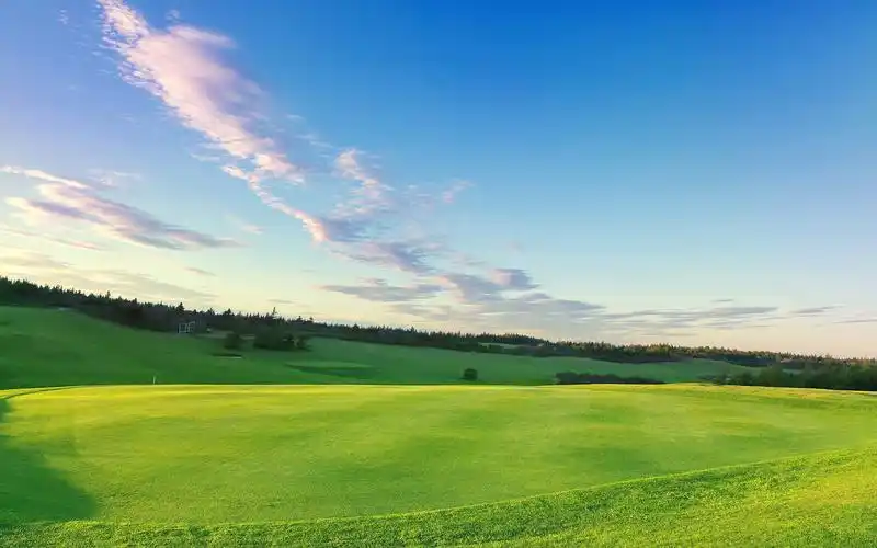 清新绿色护眼自然风光图片桌面壁纸