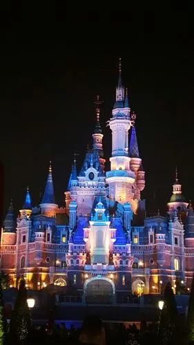 自己拍的上海迪士尼夜景,图为迪士尼童话城堡
