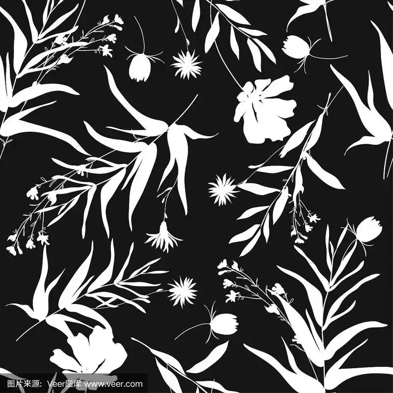 黑色植物载体插图.设计,时尚,印花,面料