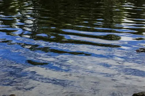 静静的湖面荡起了涟漪