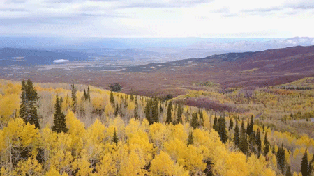 2013年器乐演唱组合玖月奇迹发行了此曲的翻唱版本,并收录在他们的