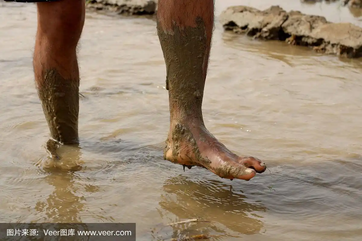 赤脚在泥