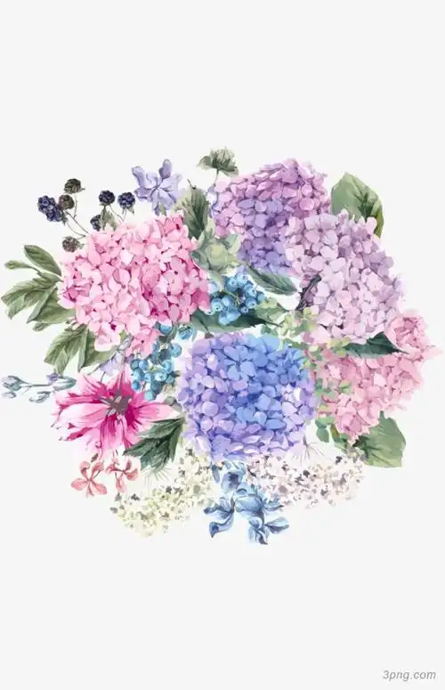 水彩绣球花png素材透明免抠图片卡通手绘