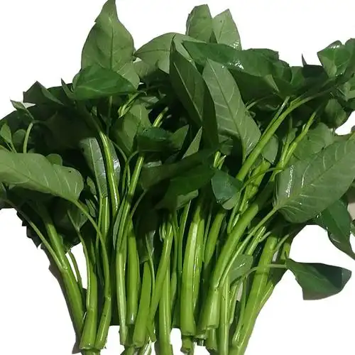 空心菜新鲜2斤3斤包邮重庆农家藤藤菜蕹菜蓊菜通心菜无心菜空筒菜