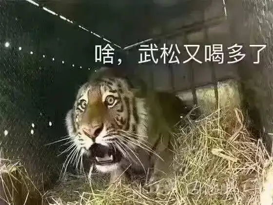 啥,武松又喝多了