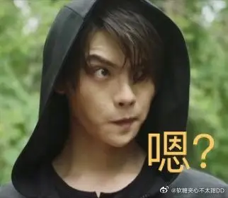 家人们,把你们最爱的终极笔记表情包给我可以吗