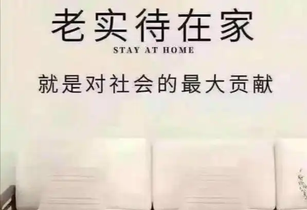老实呆在家