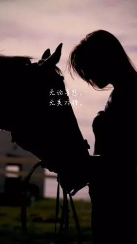 "无奈的是 语言这东西在表达爱意的时候如此无力在表达伤害的时候 却