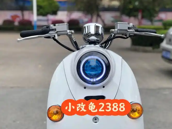 小改龟2388开回家