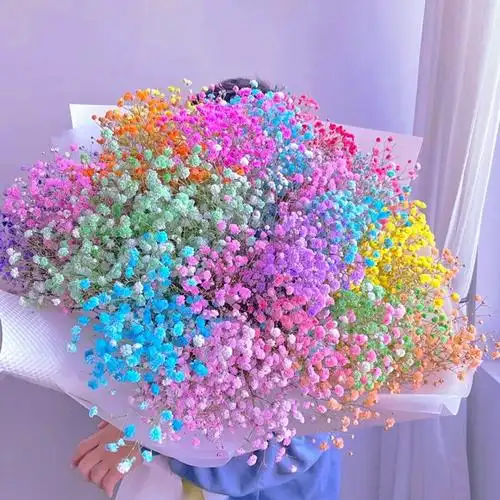 01紫色满天星 紫色的满天星的花语有很多,比如说神秘高贵优雅,不过最