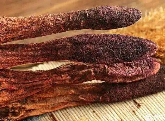 锁阳的功效与作用通便补肾增强细胞活性等