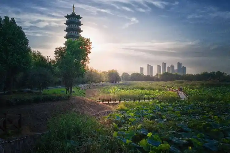 潜江市曹禺公园摄影小品(手机摄影)